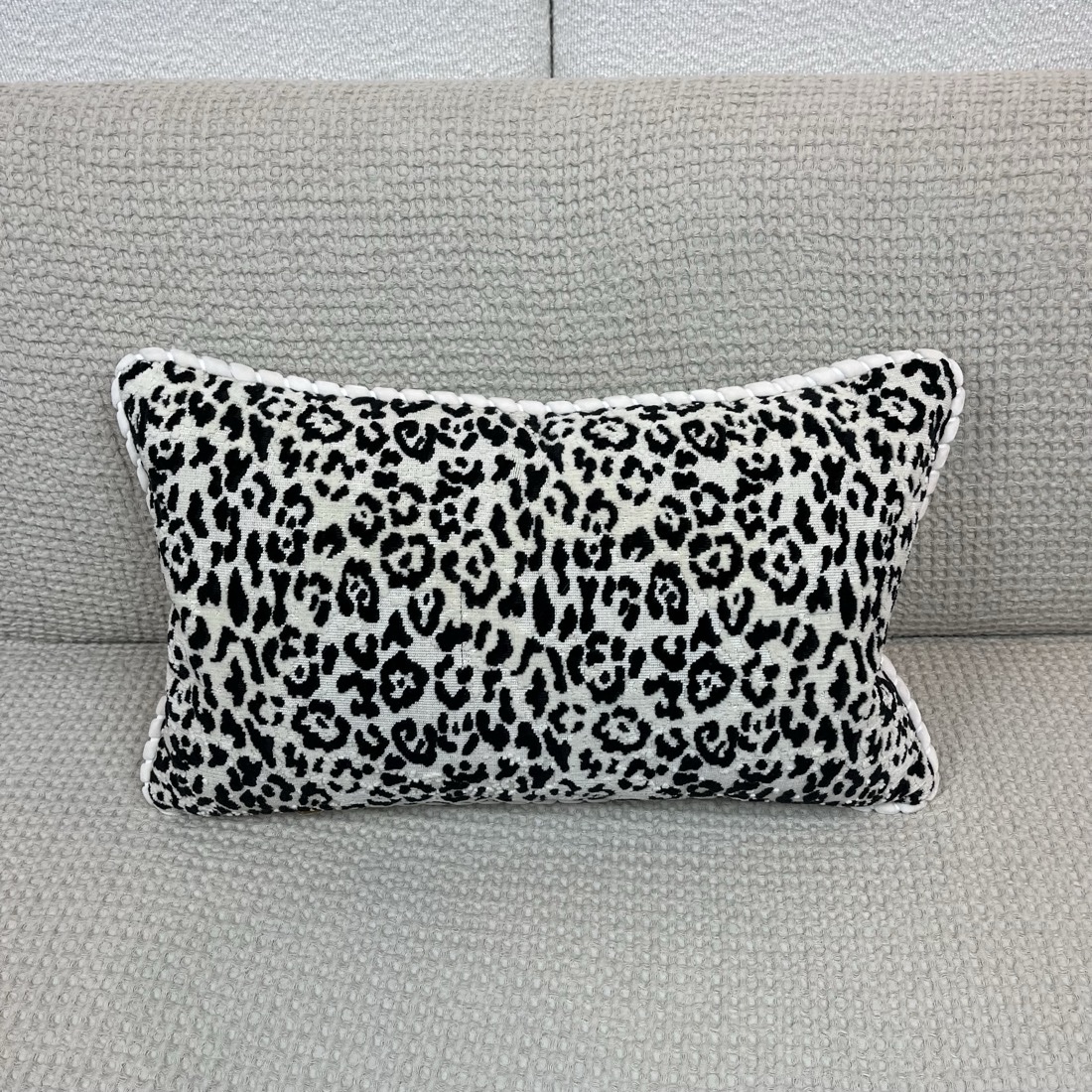 img_7620 Wild Thing - Black Pillow - Image 1