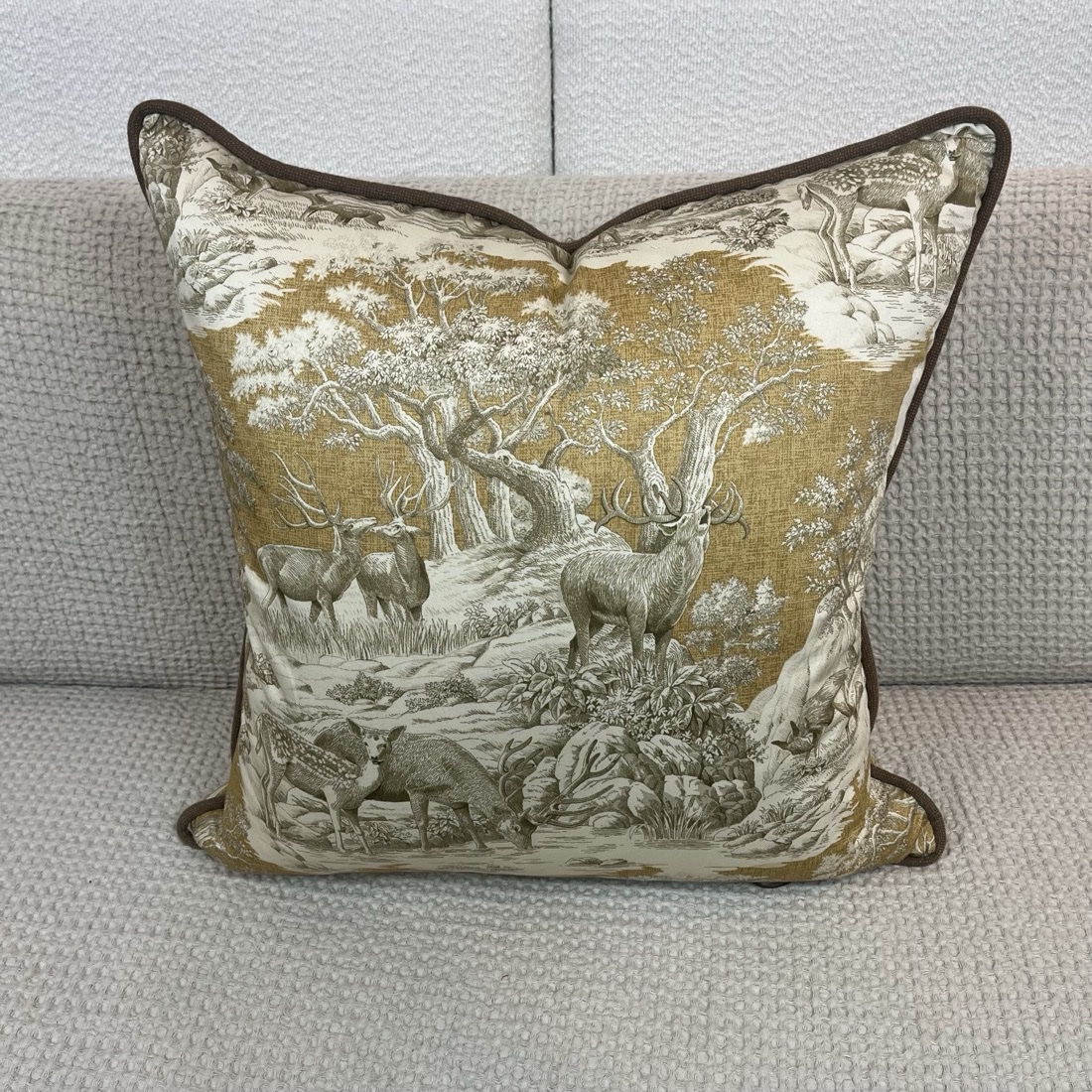 img_7931 Wild Bucks Accent Pillow - Image 1